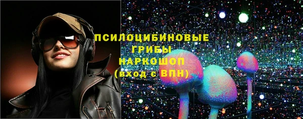 прущая мука Вяземский