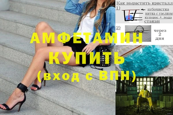 прущая мука Вяземский