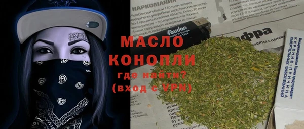 прущая мука Вяземский