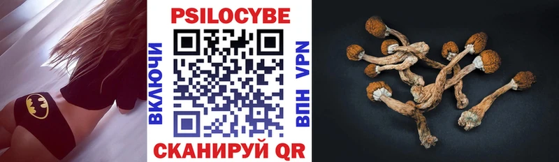 Псилоцибиновые грибы прущие грибы  Острогожск 